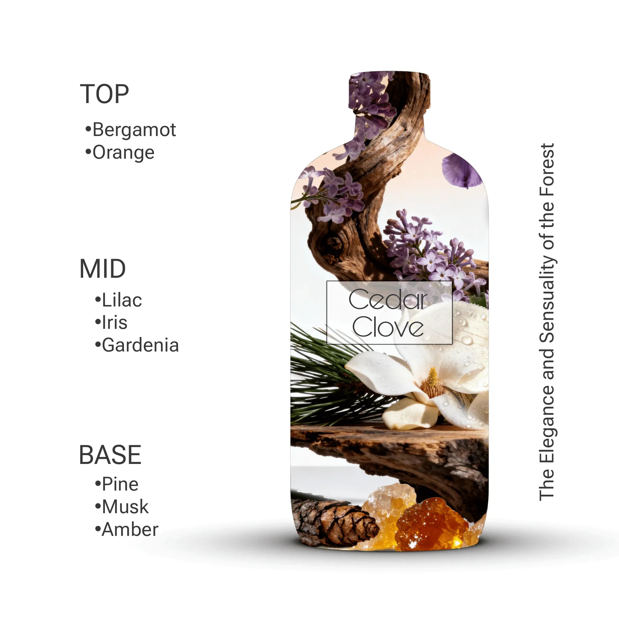 Cedar Clove