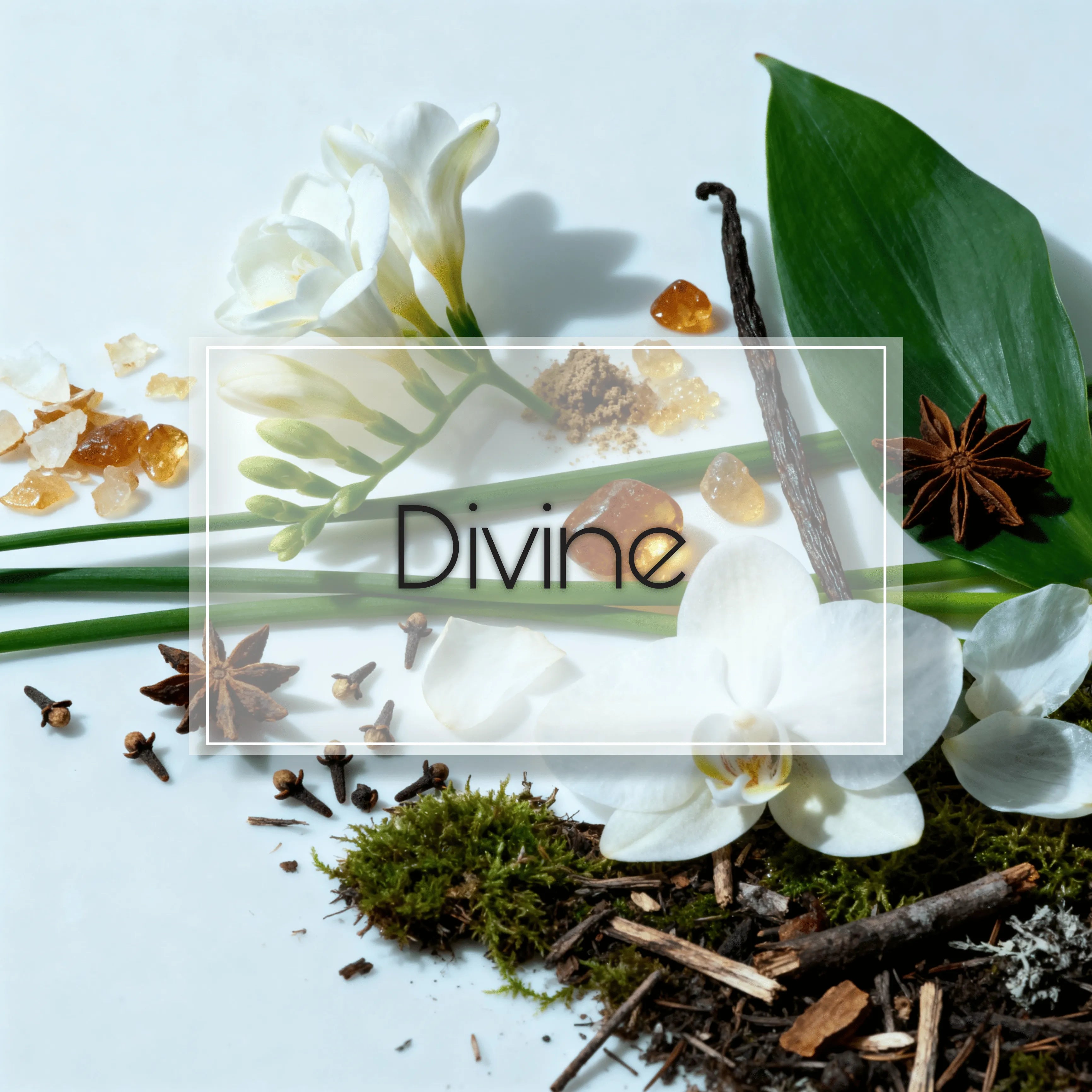 Divine