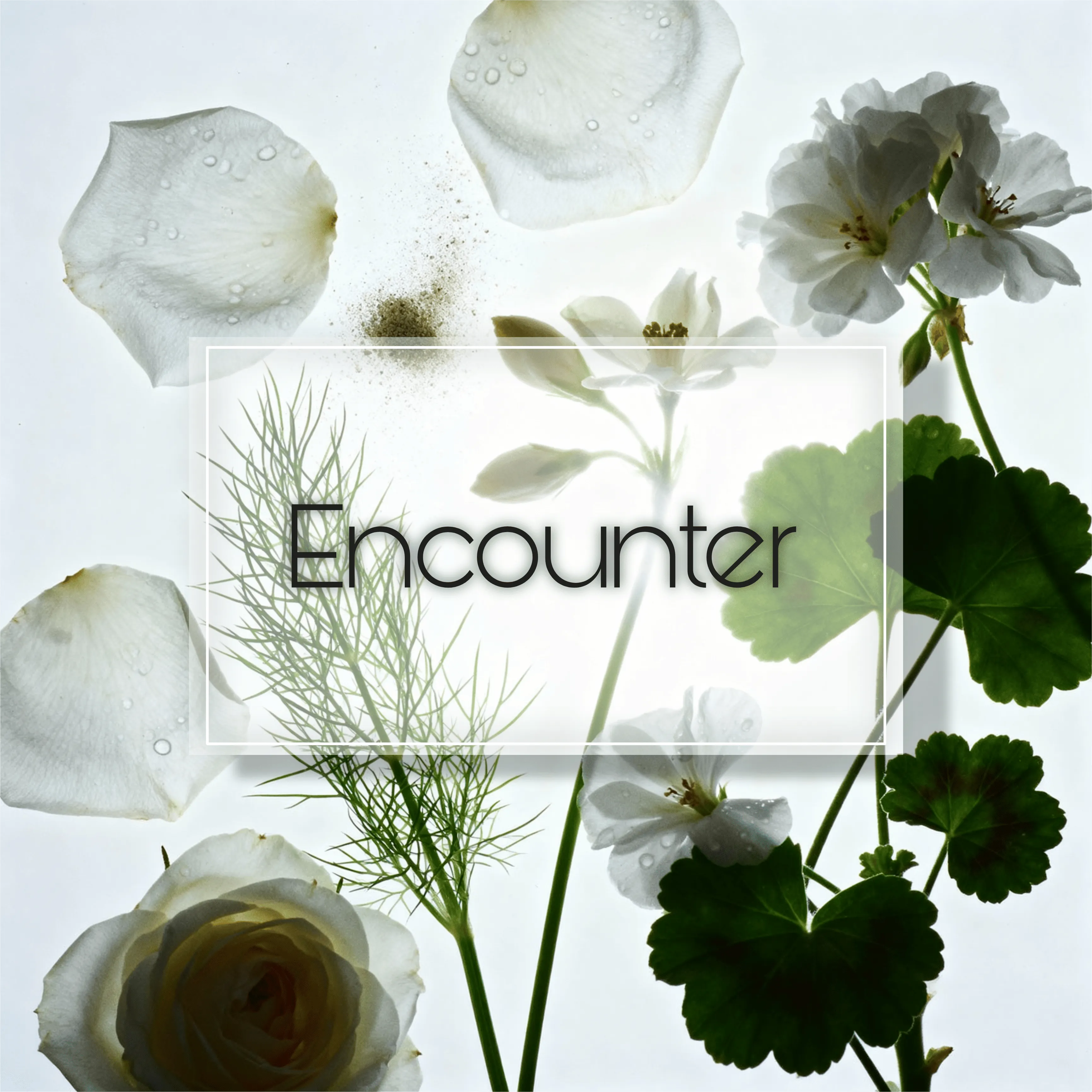 Encounter