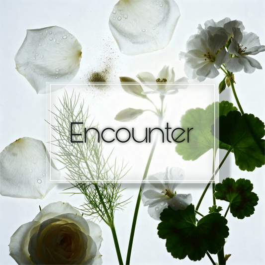 Encounter