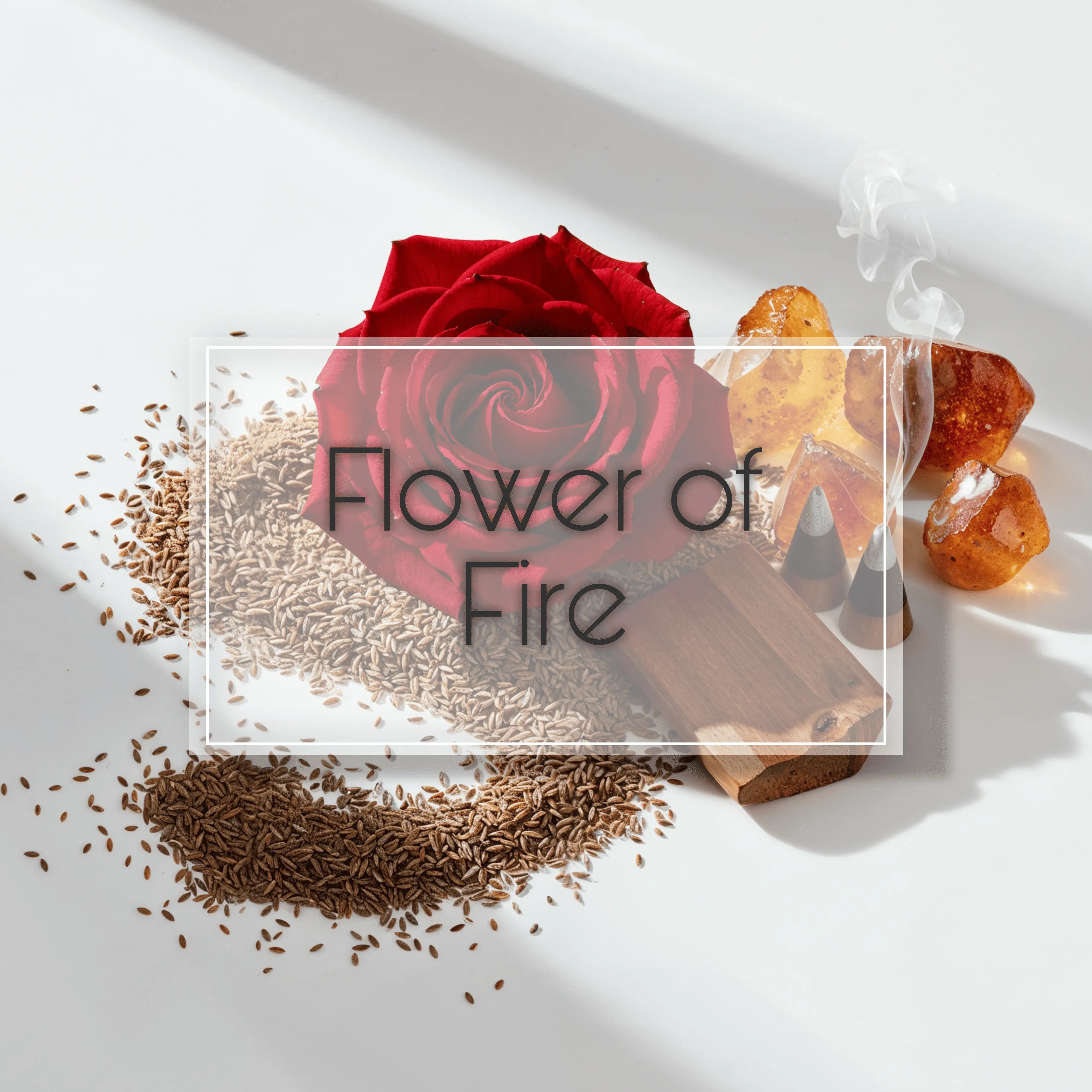 Flower of Fire