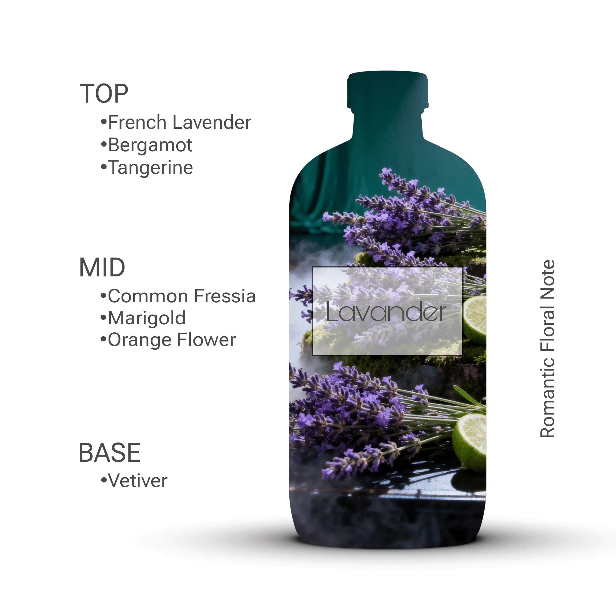 Lavander