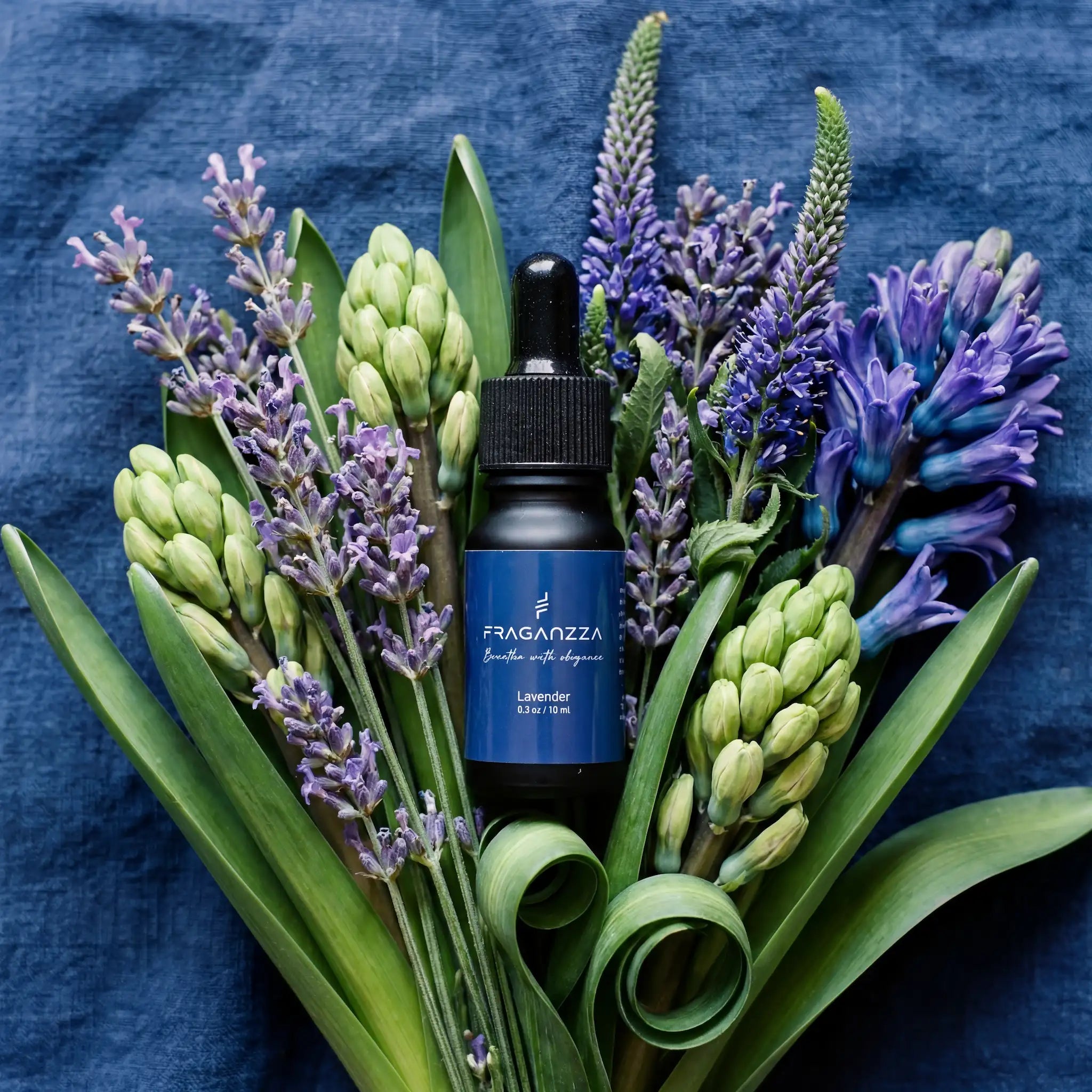 Lavander
