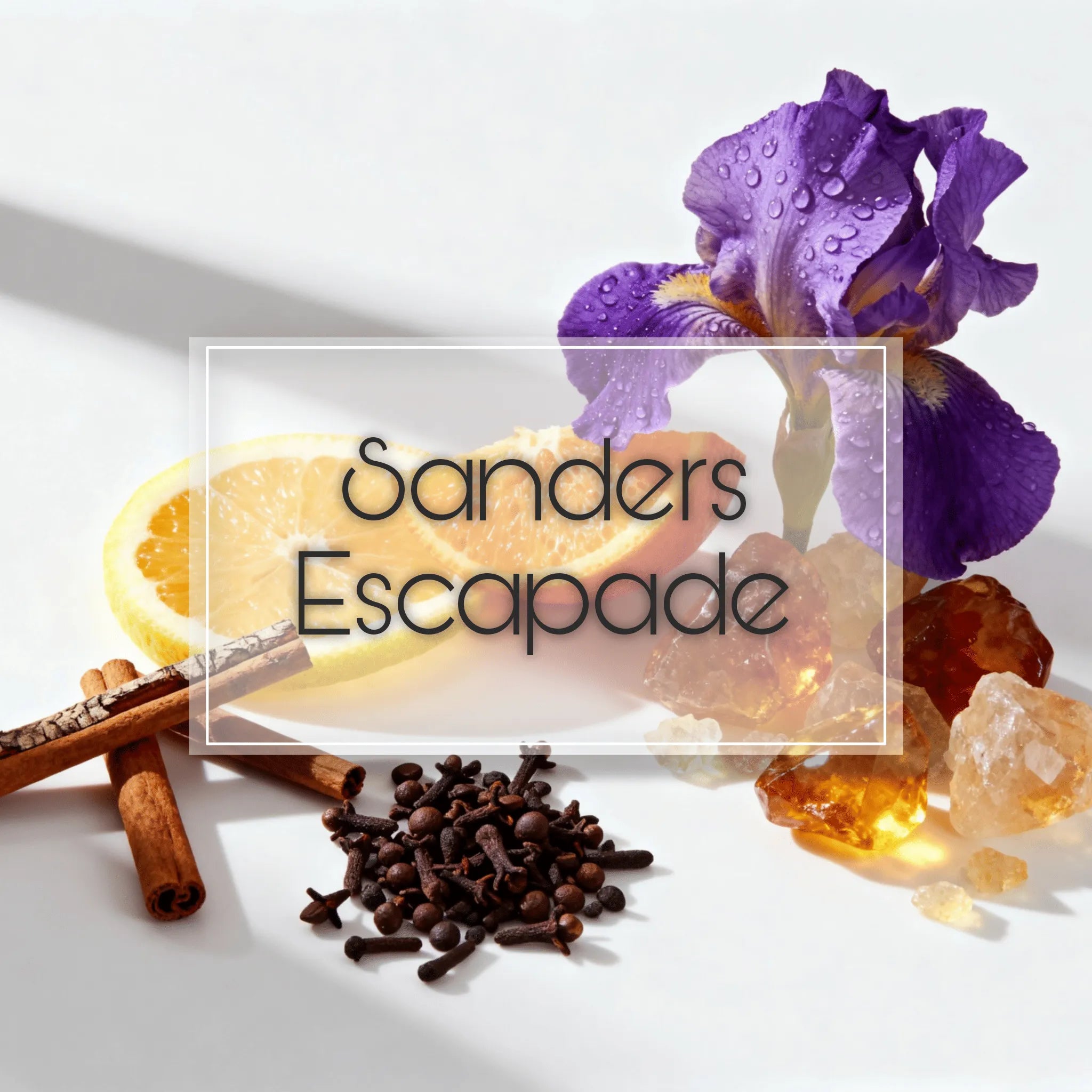 Sanders Escapade