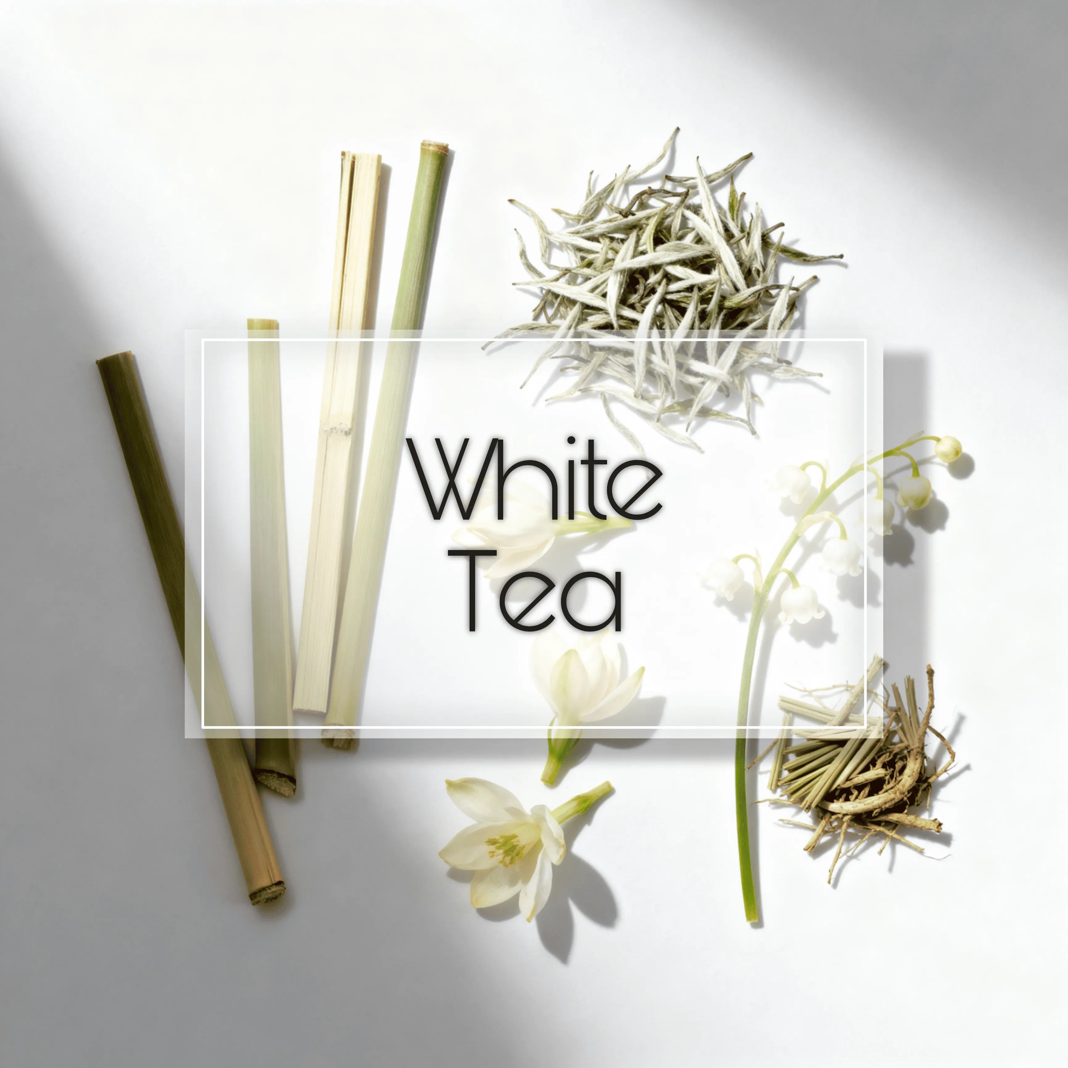 White Tea