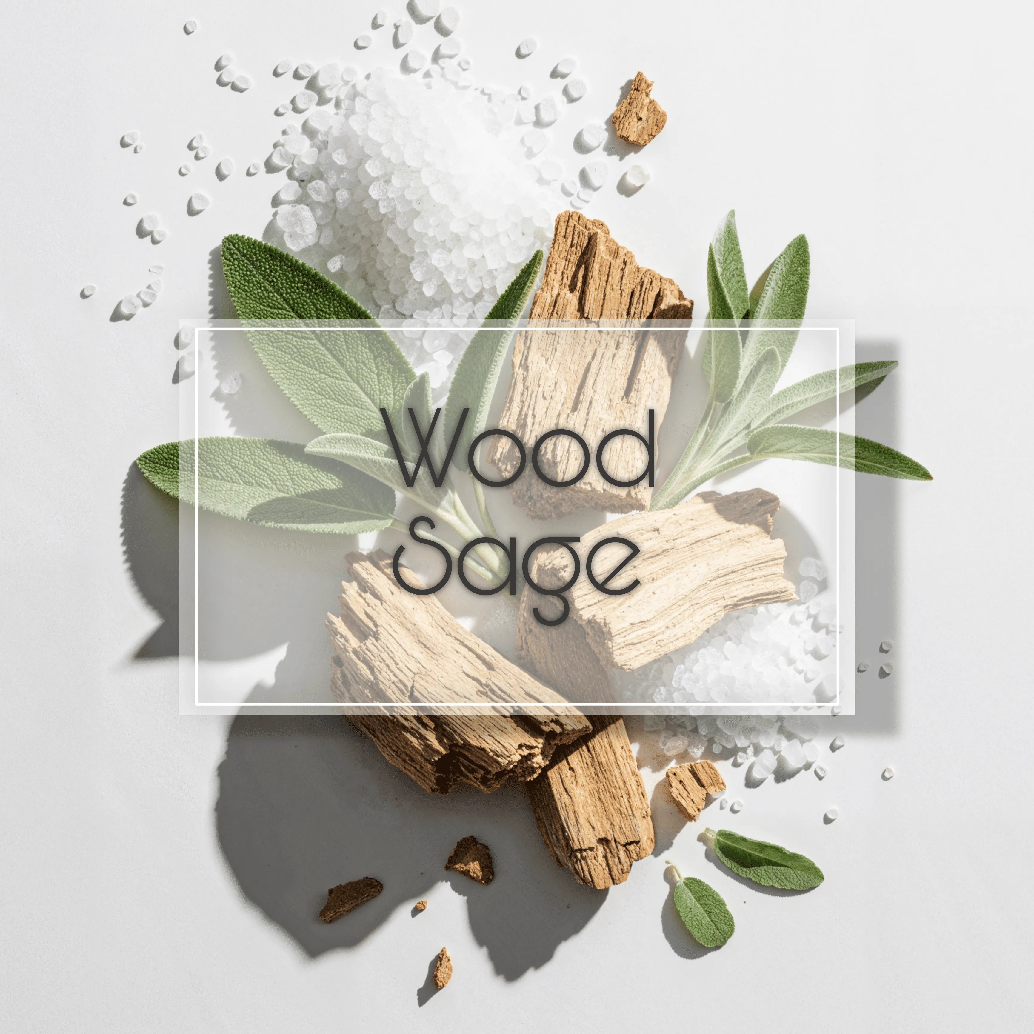 Wood Sage