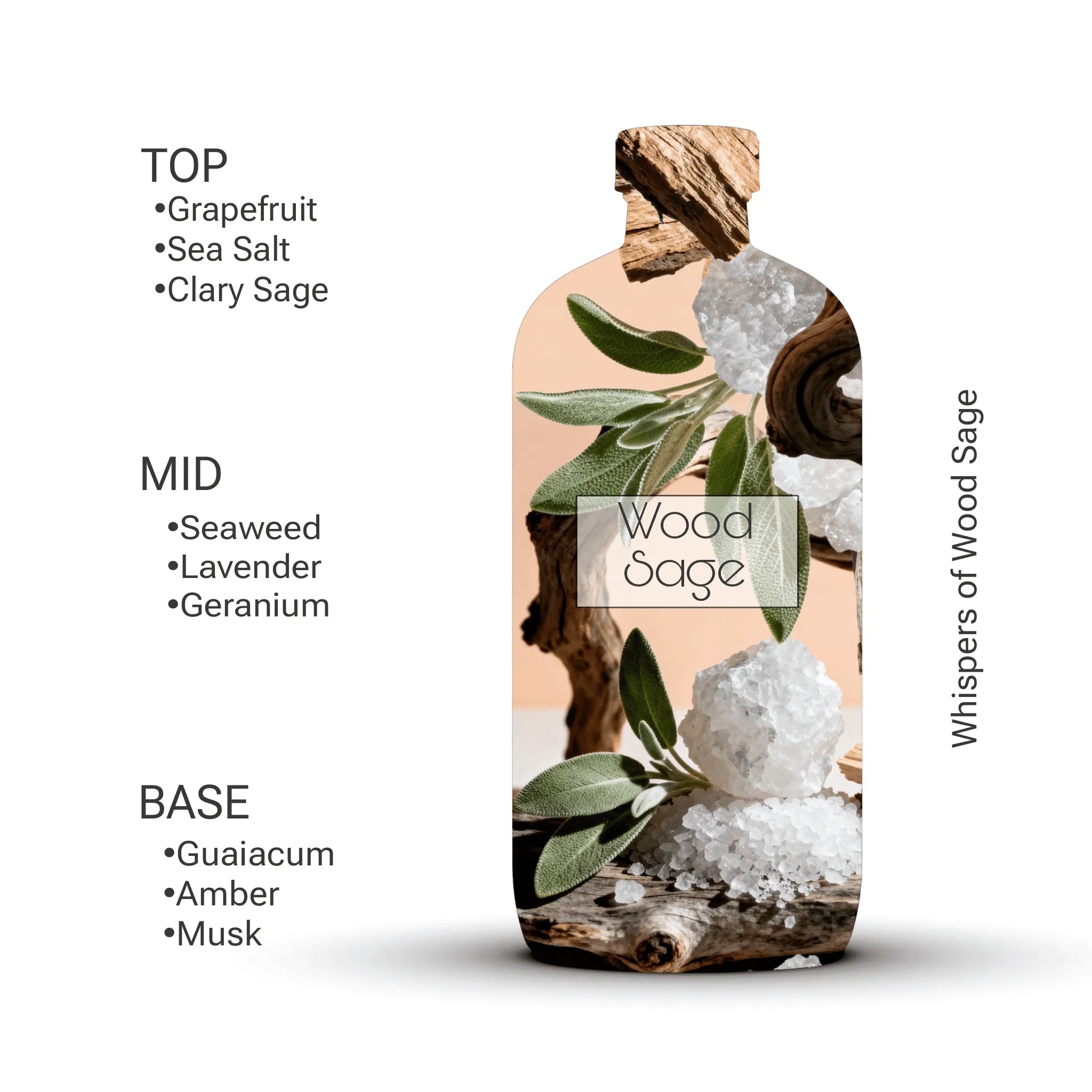 Wood Sage