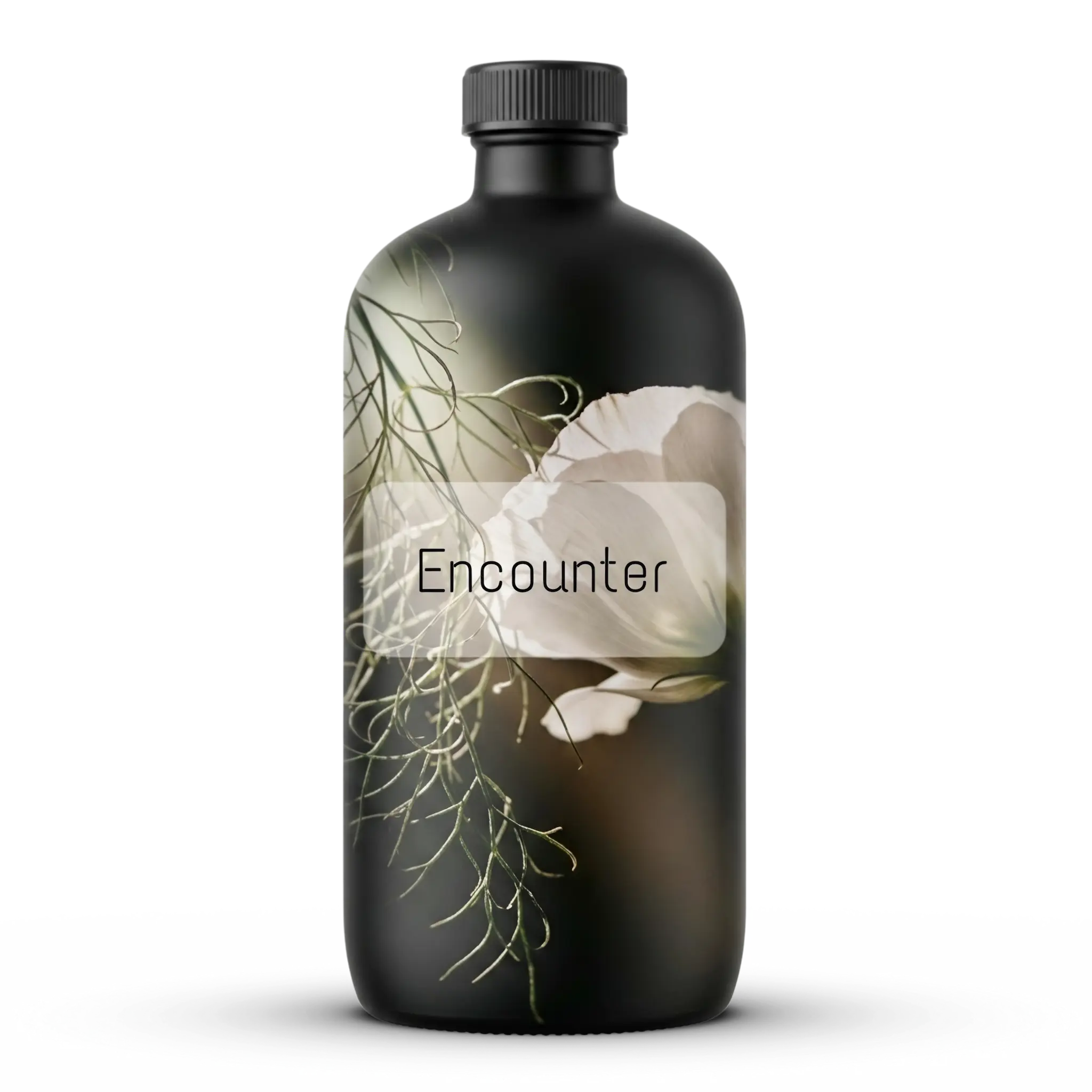 Encounter