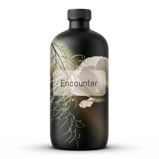 Encounter