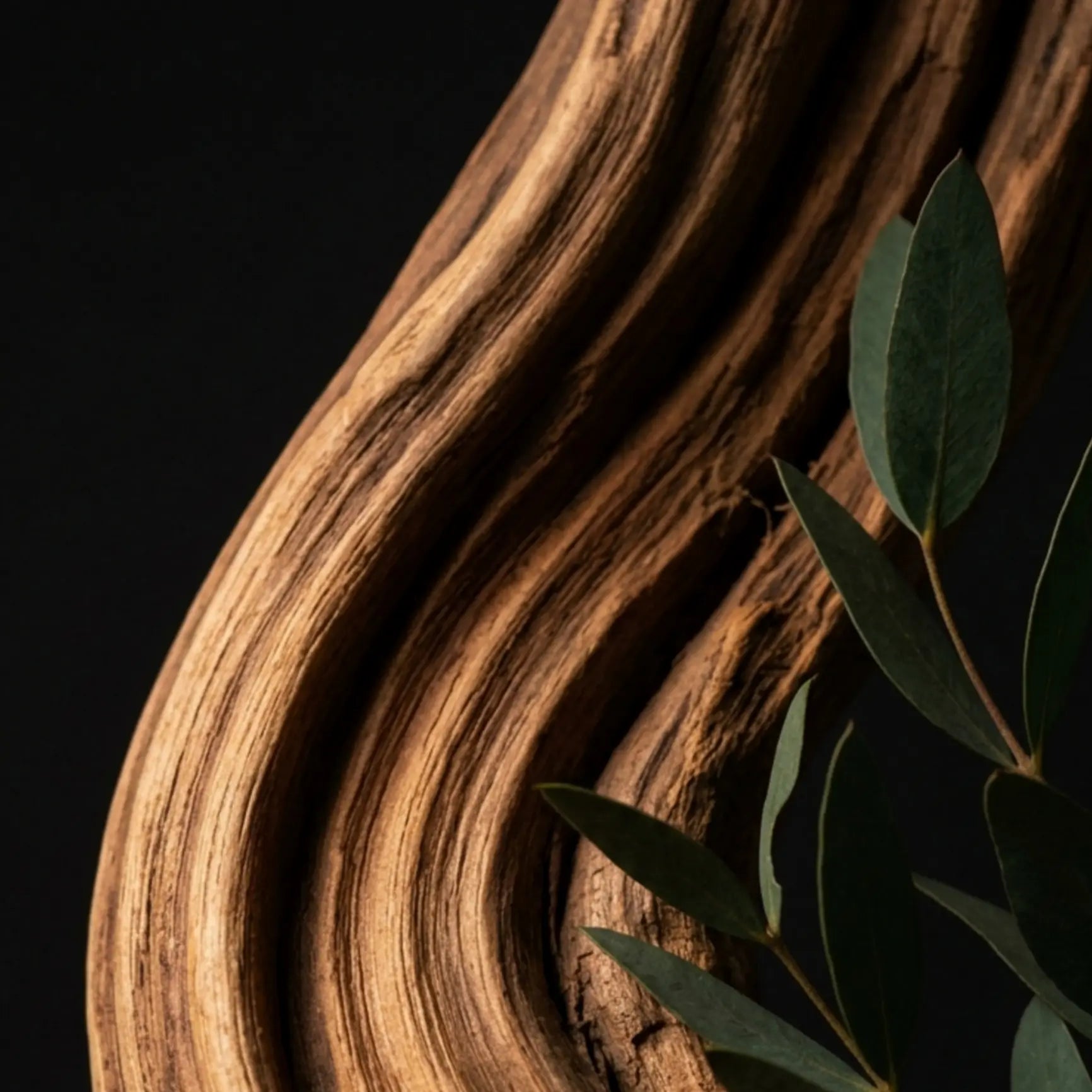 Oud Wood